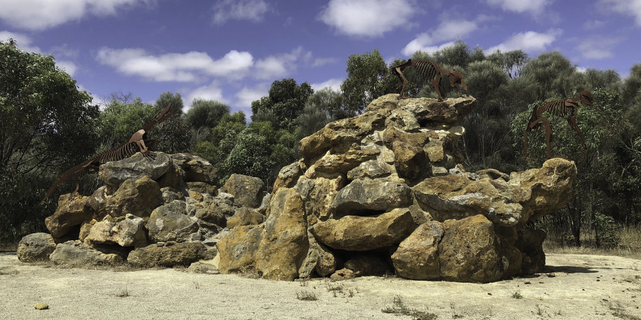 De Naracoorte Caves in Australië.