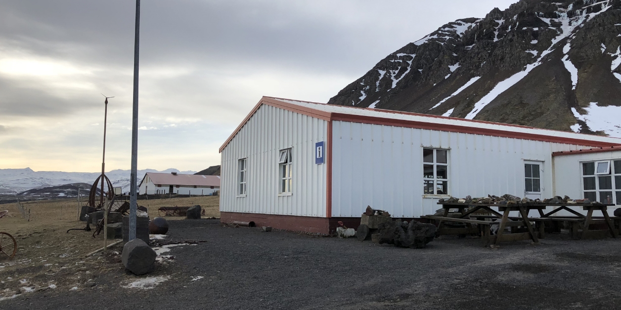 Haai eten in Bjarnarhöfn IJsland.