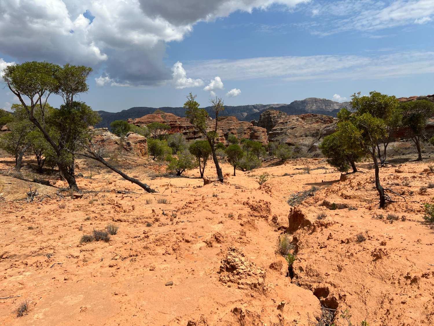 Isalo National Park.