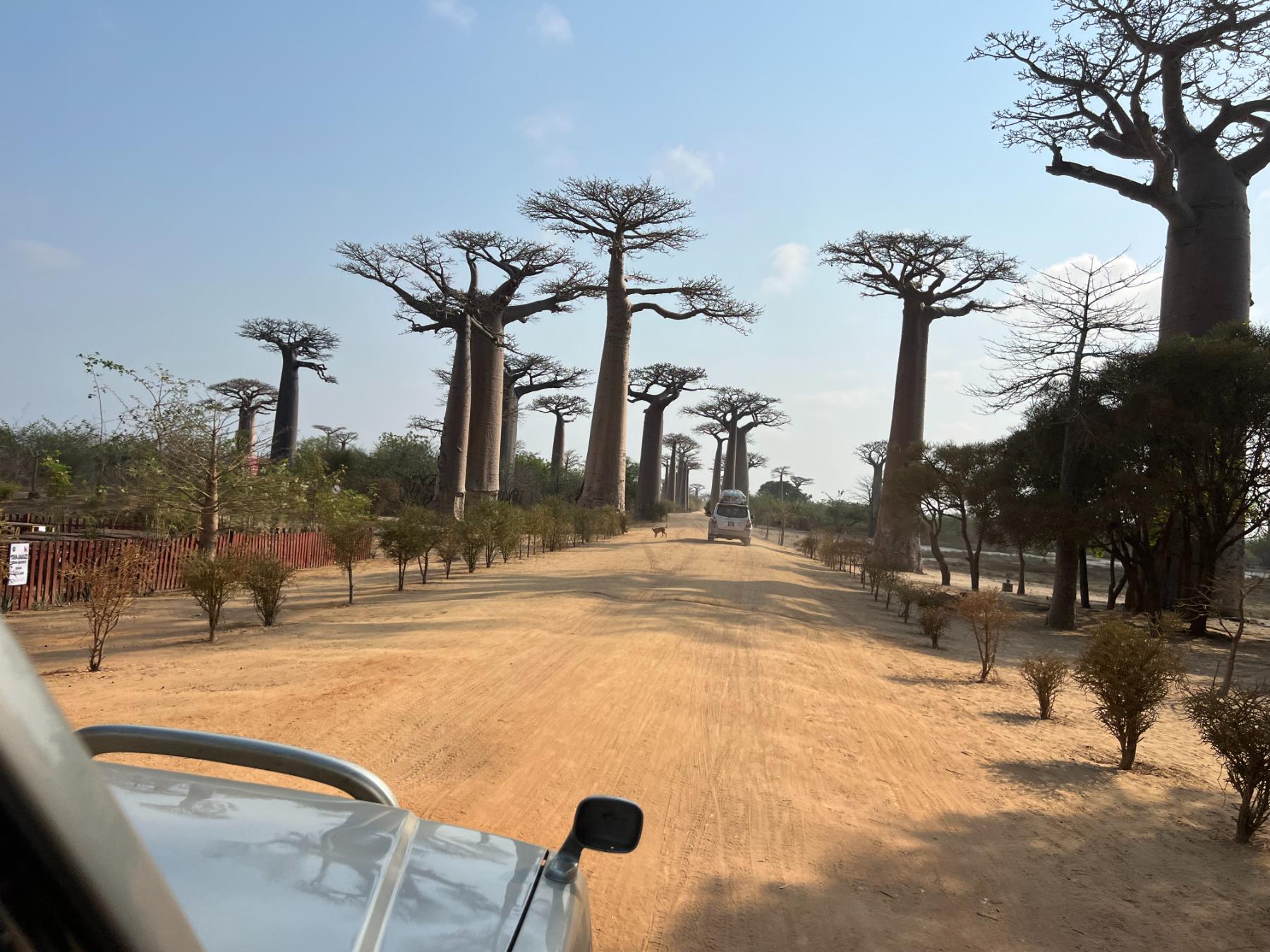 Onderweg met de jeep van Morondava naar Bekopaka.