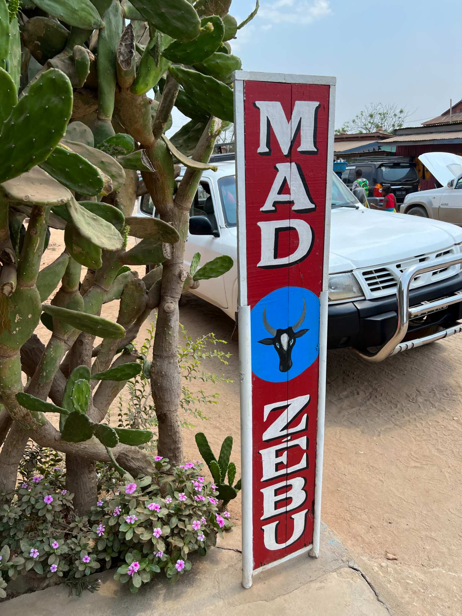 Mad Zebu café/ restaurant in Belo sur Tsiribihina.