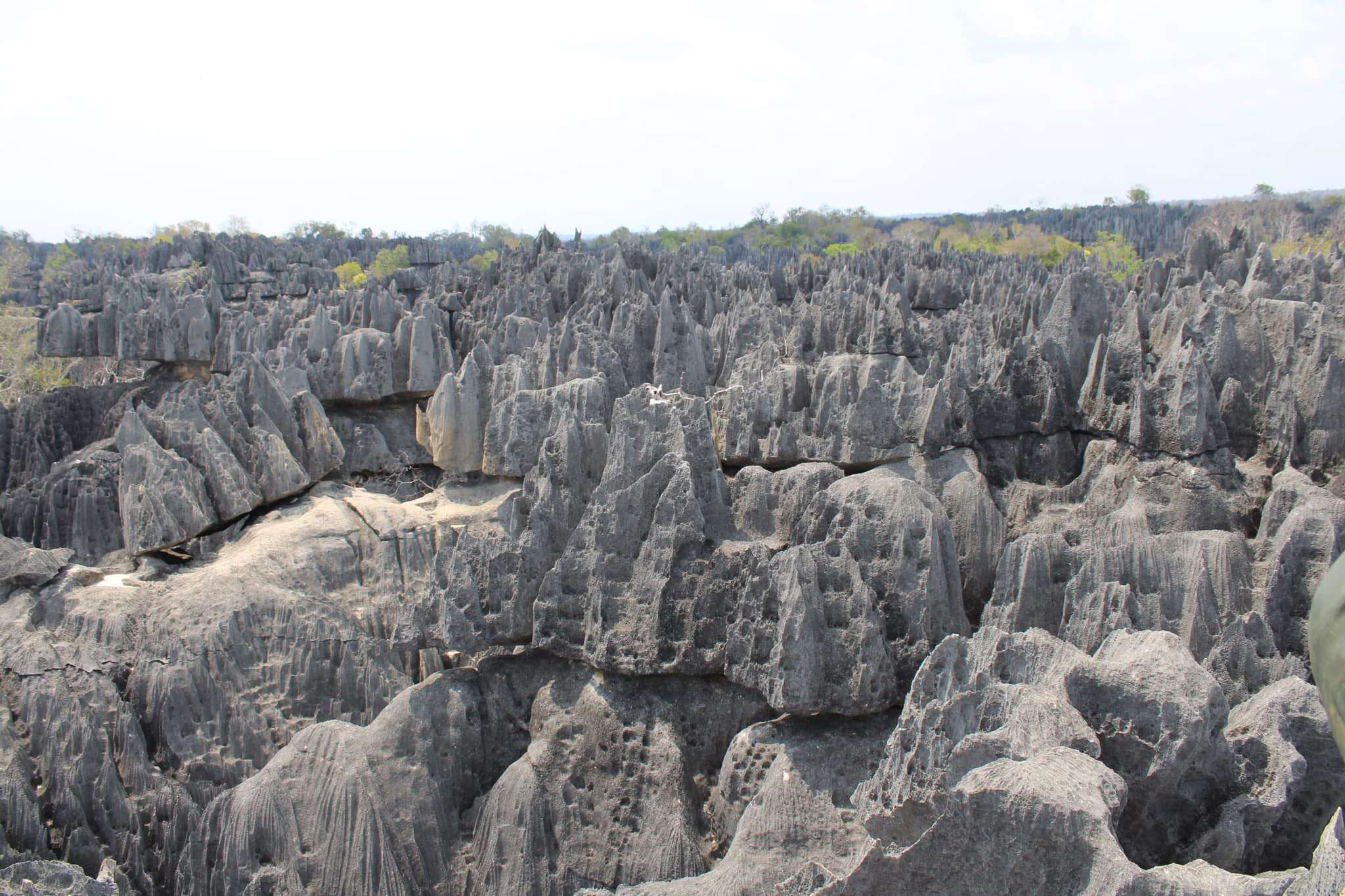 Tsingy de Bemahara